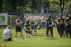 2024-06-22 RL Münster Blackhawks vs Troisdorf Jets