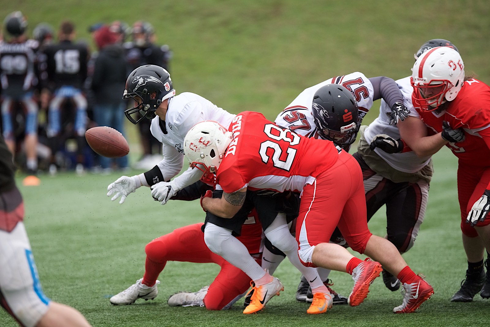 Scrimmage in Gelsenkirchen: hier trafen die Devils auf die Wuppertal Greyhounds (Foto: Nick Jungnitsch)